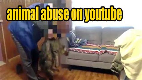 peluchin entertainment kills cat video|YouTube bans animal abuser Peluchin Entertainment。